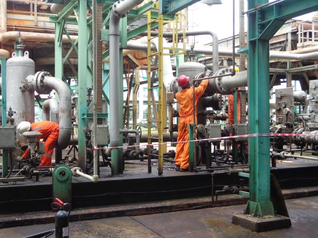 Plant Main 2