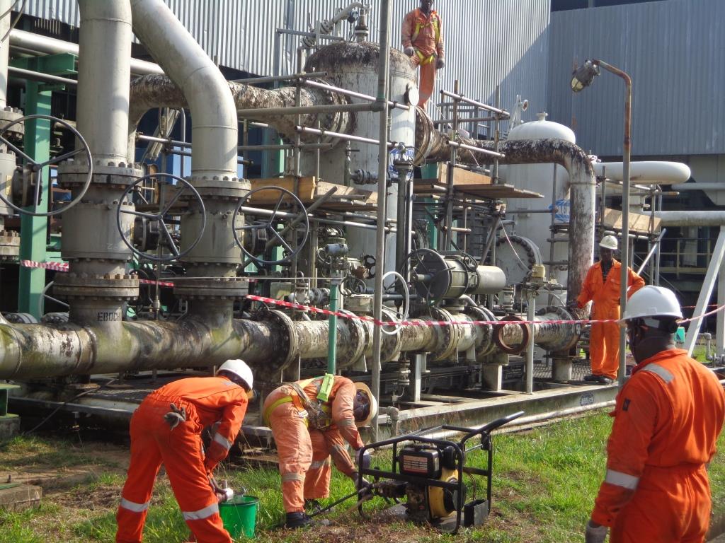 Plant Main 3